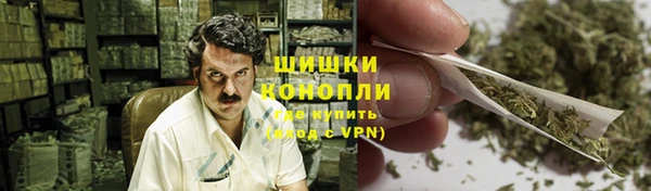 амф Кулебаки