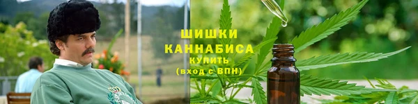 амф Кулебаки