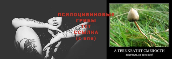 прущая мука Кукмор